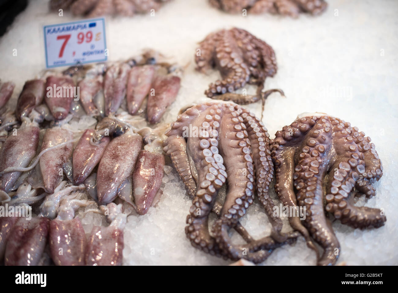 Squid And Octopus Dimotiki Agora Athens Greece // ATHENS, Greece — Fresh squid and octopus for sale at the Dimotiki Agora, also known as Varvakios Agora, in downtown Athens. The market is the largest retail fresh food market in the city, featuring rows of seafood stalls offering a variety of Mediterranean catches. The Dimotiki Agora is a popular destination for locals and tourists, showcasing traditional Greek seafood and culinary culture. Stock Photo