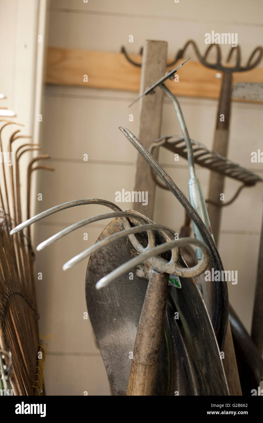 Gardening hand tools in a tool shed. Stock Photo