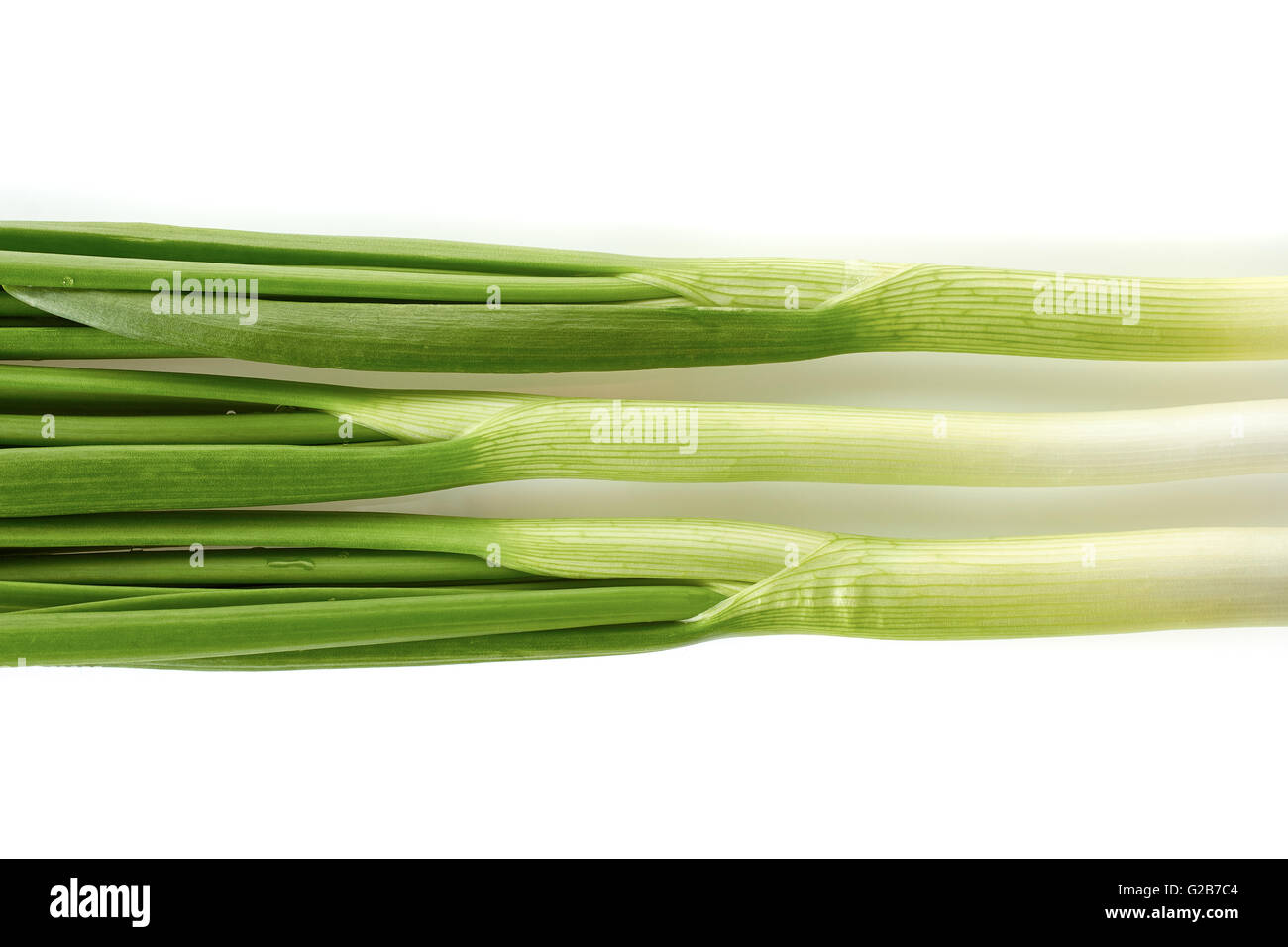 Fresh green onion on white background Stock Photo - Alamy