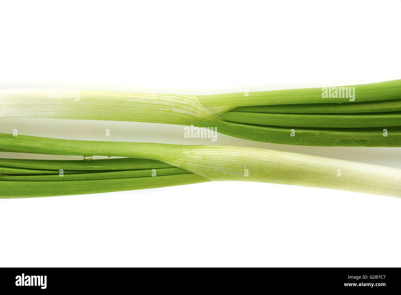 Fresh green onion on white background Stock Photo - Alamy