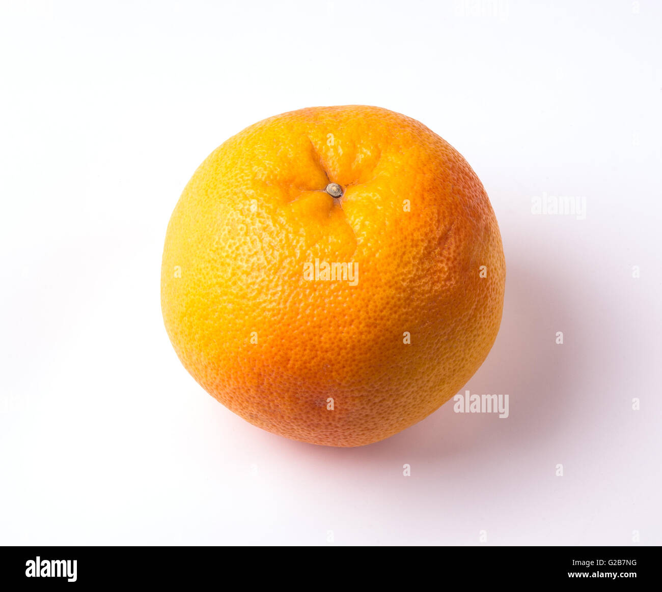 Studio photo of grapefruit, closeup, with soft shadow Stock Photo