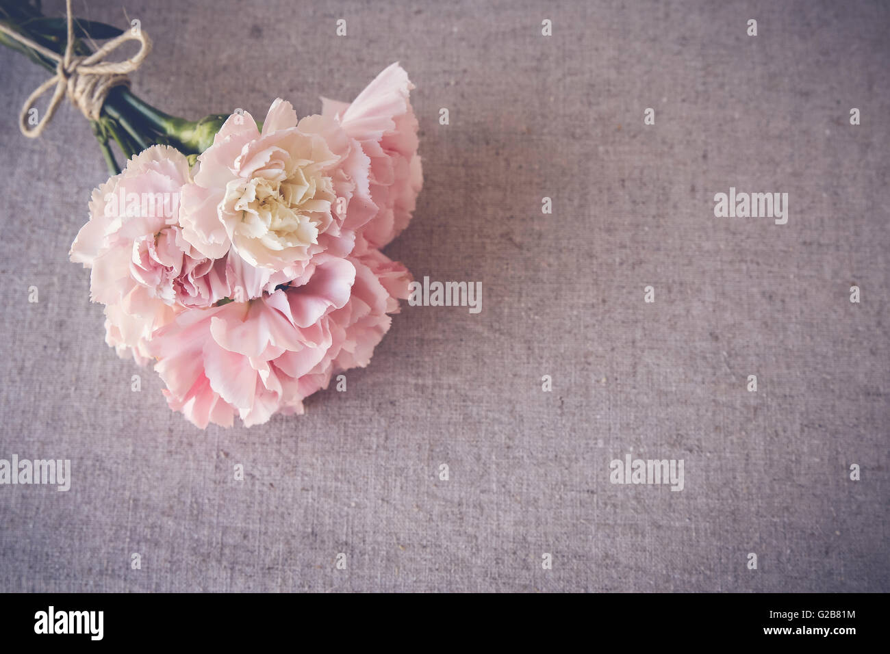 Pink carnation flowers bouquet copy space background Stock Photo - Alamy
