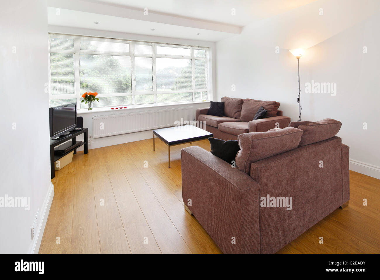 Ellington Court, Southgate. White living room with wood floors and minimal furniture Stock Photo