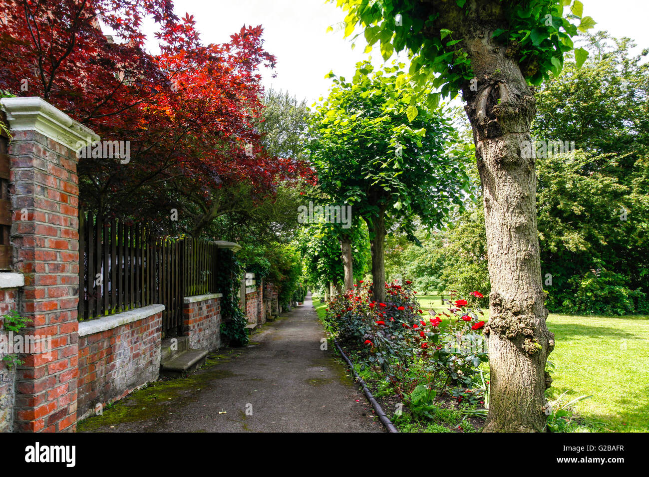 Greencroft Road. View of the pavement lined with trees and flowers. Stock Photo