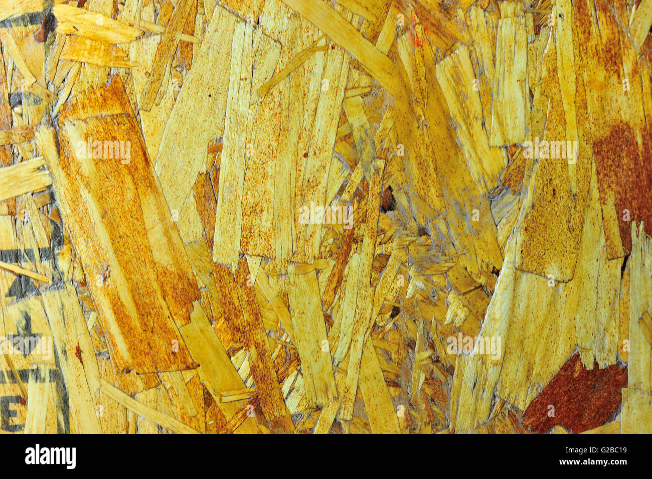 An Bark tree texture in soft light Stock Photo - Alamy