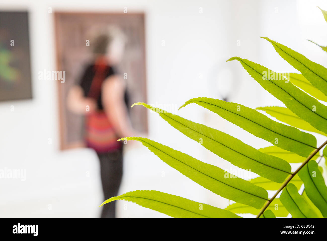 Fern leaves with visitor to Fundacion Cesar Manrique, Tahiche, Lanzarote, Canary Islands, Spain Stock Photo