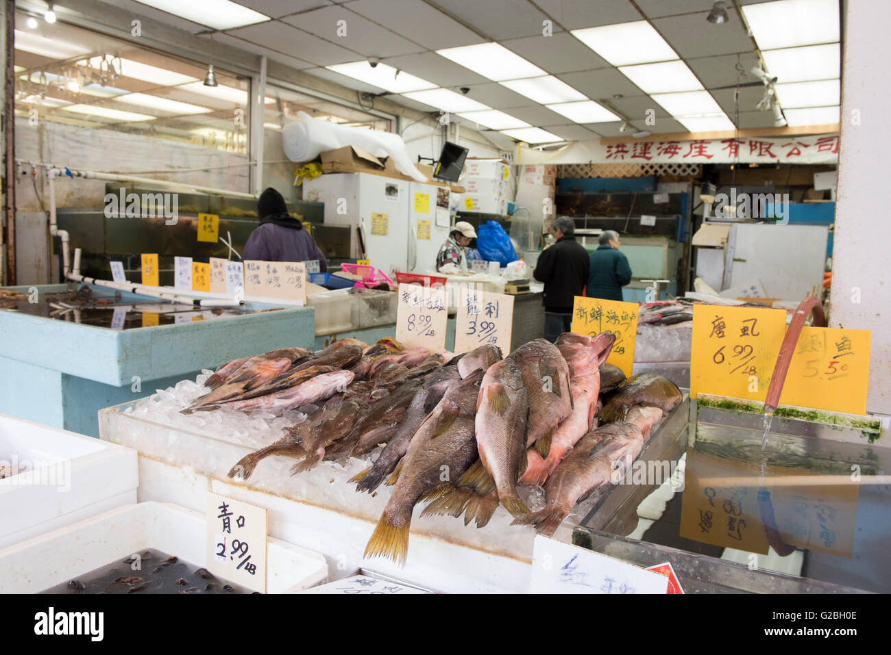 Chinatown fish market, Vancouver City Stock Photo - Alamy