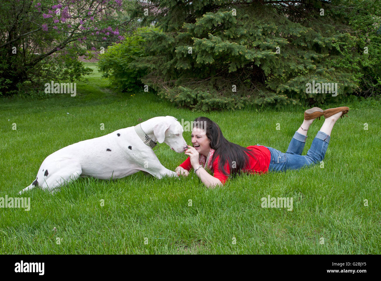 Woman in red laughs as she bonds with big dog Stock Photo