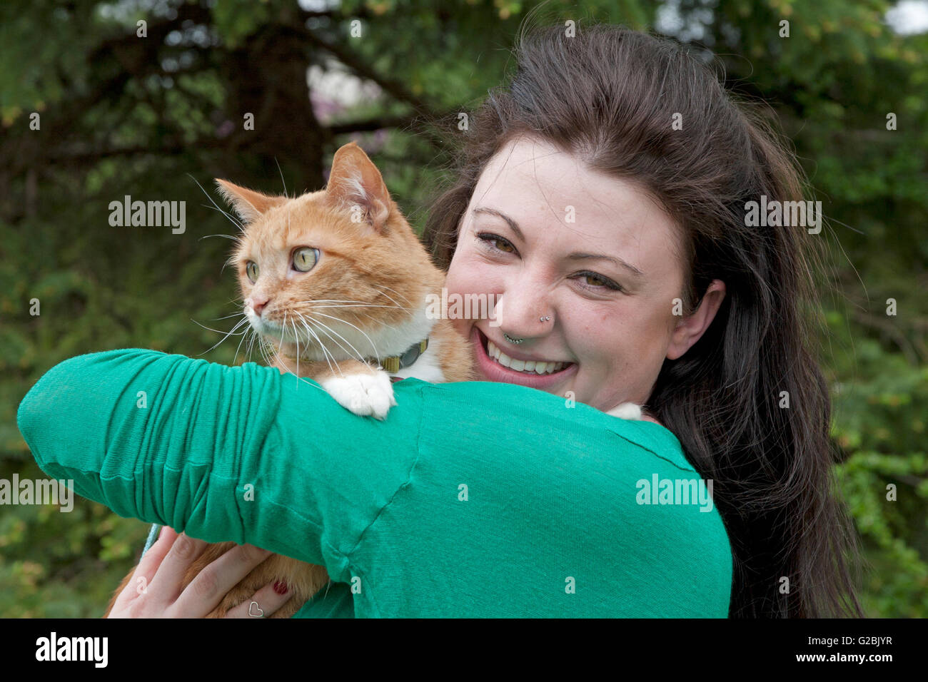 Orange tabby cat hi-res stock photography and images - Alamy