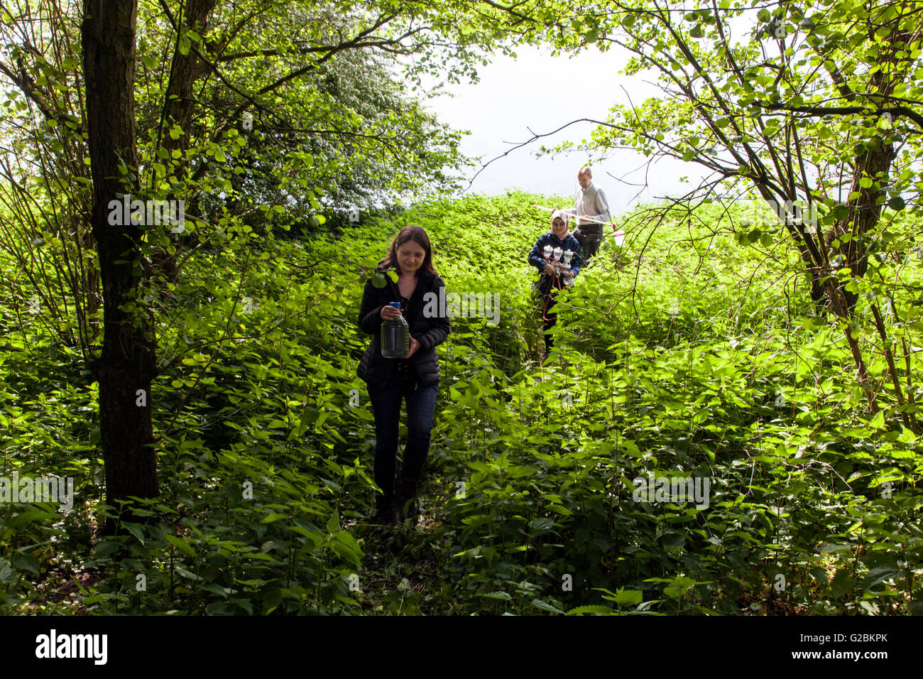 Biology students on excursion to a nature reserve in the Lower Rhine. Stock Photo