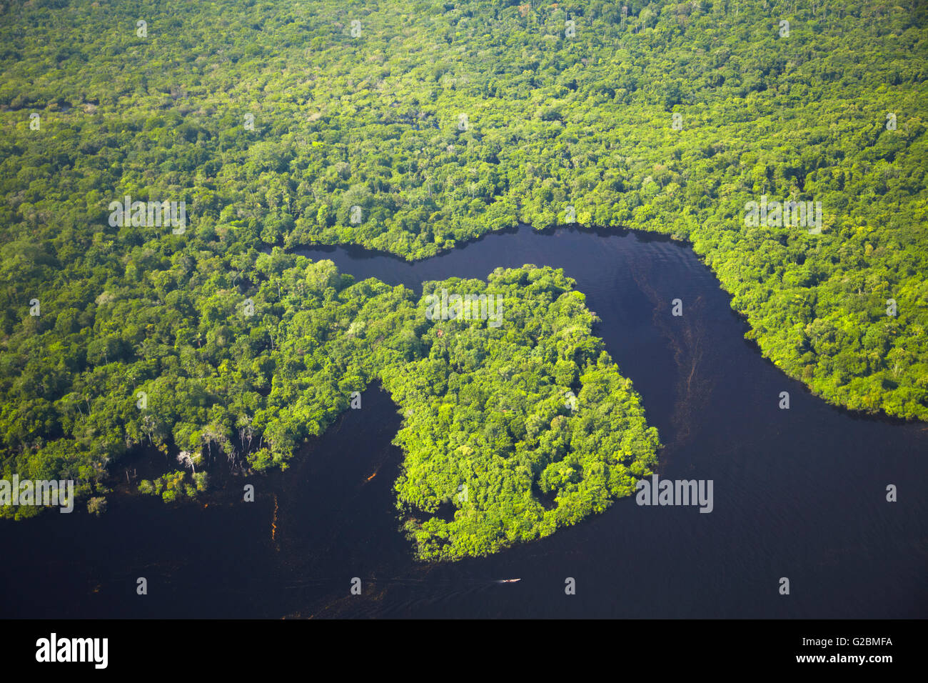 Aerial view of Amazon Rainforest and Rio Negro, Manaus, Amazonas