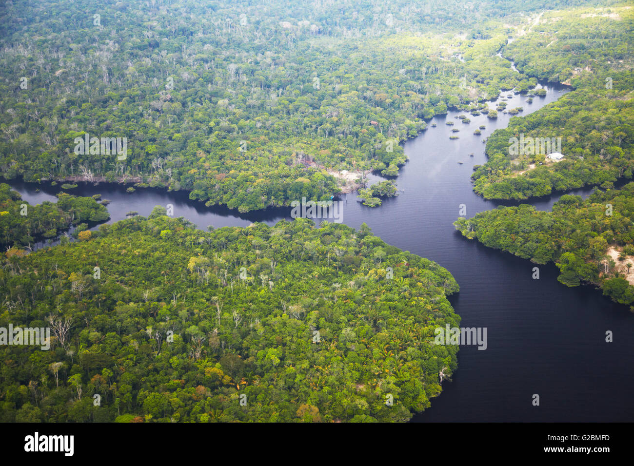 Aerial view of Amazon Rainforest and tributary of Rio Negro, Manaus, Amazonas, Brazil Stock Photo