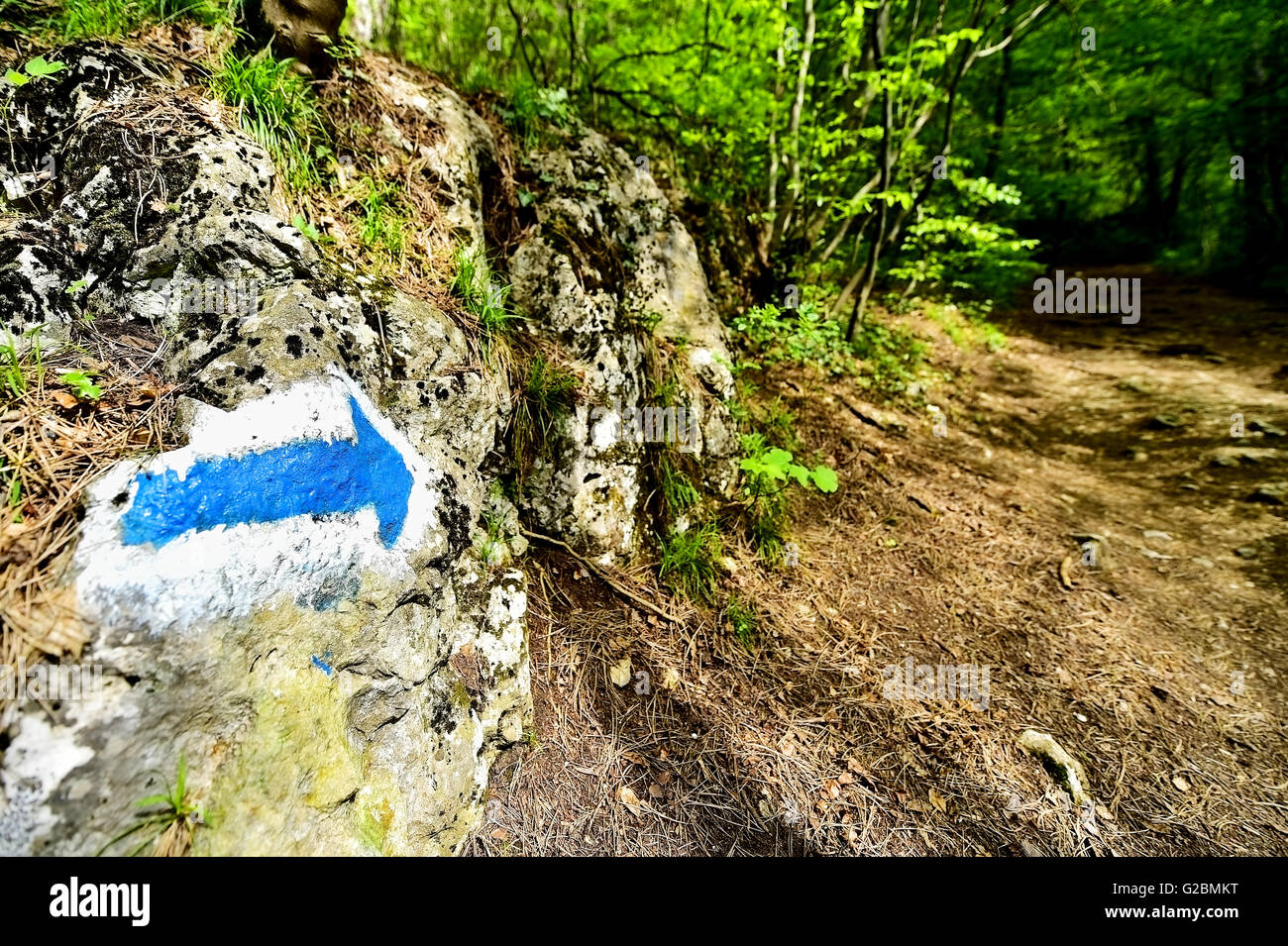Hiking paint marking on a trail path into the woods Stock Photo