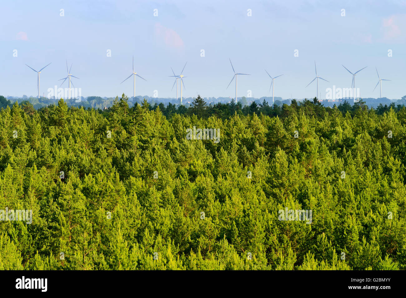 Aerial landscape with pine tree forest and wind farm on the horizon. Pomerania, northern Poland. Stock Photo