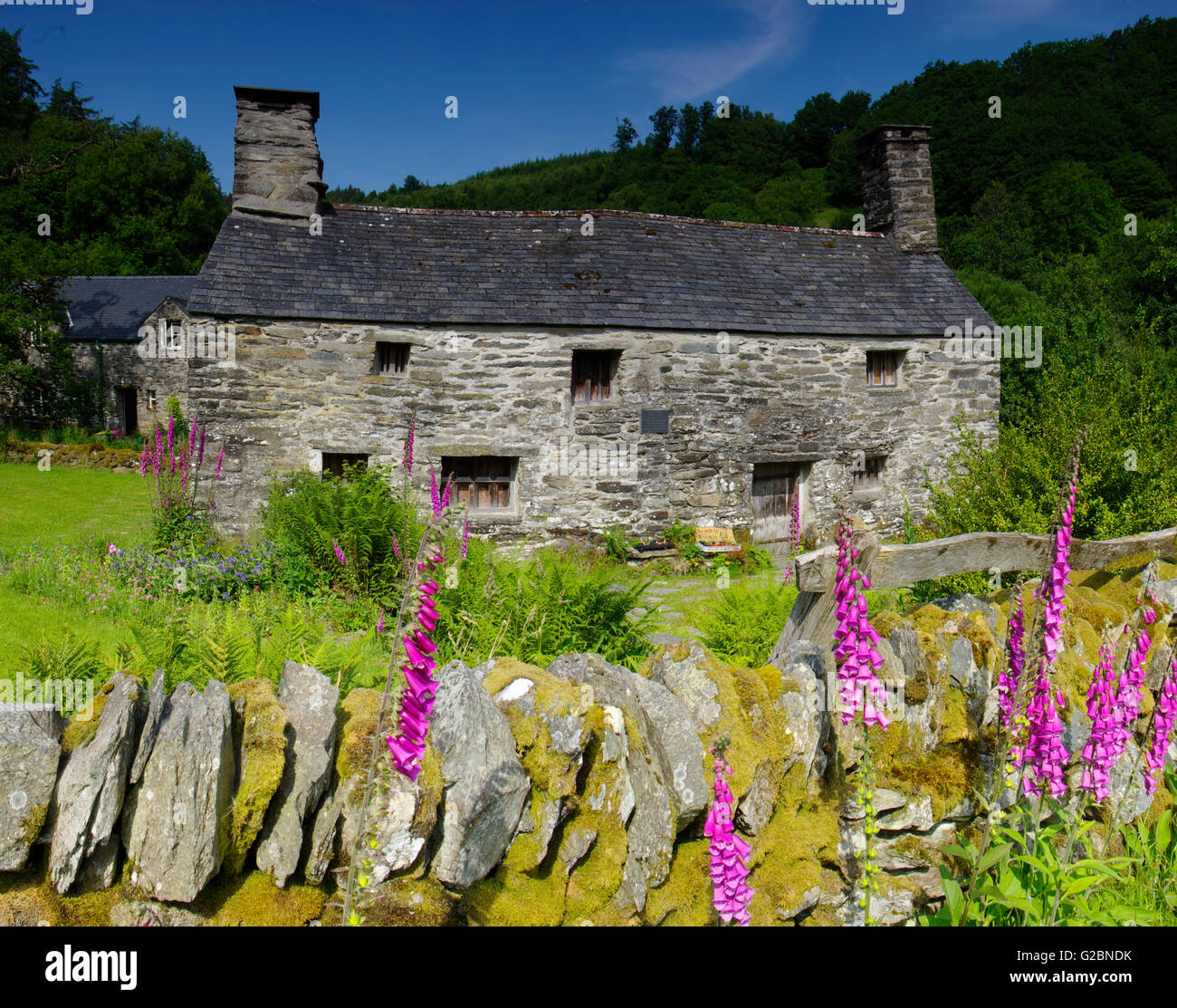 ty-william-morgan-hi-res-stock-photography-and-images-alamy
