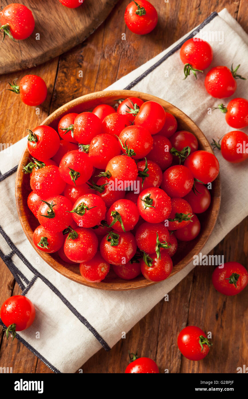 Raw Organic Red Cherry Tomatoes Ready to Eat Stock Photo