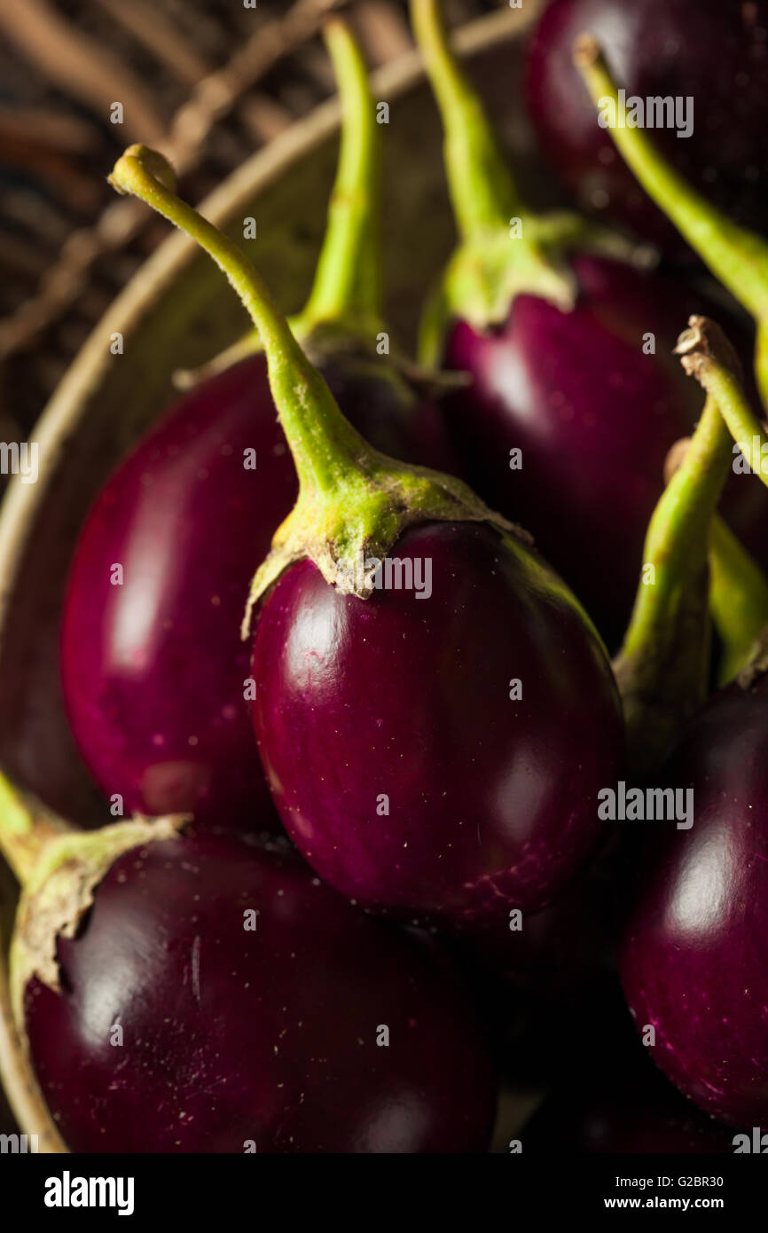 Page 3 Aubergines High Resolution Stock Photography And Images Alamy