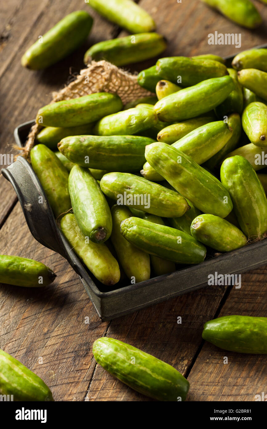 Raw Green Organic Tindora in a Basket Stock Photo