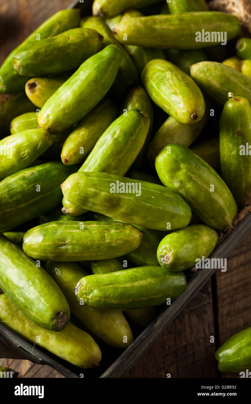 Raw Green Organic Tindora in a Basket Stock Photo