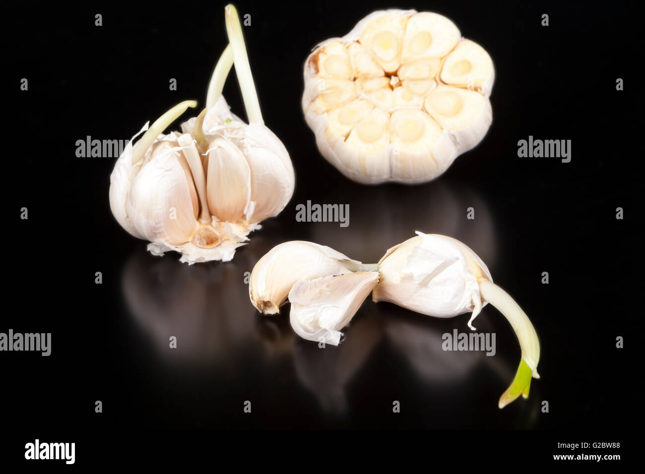 Garlic isolated on black background Stock Photo - Alamy