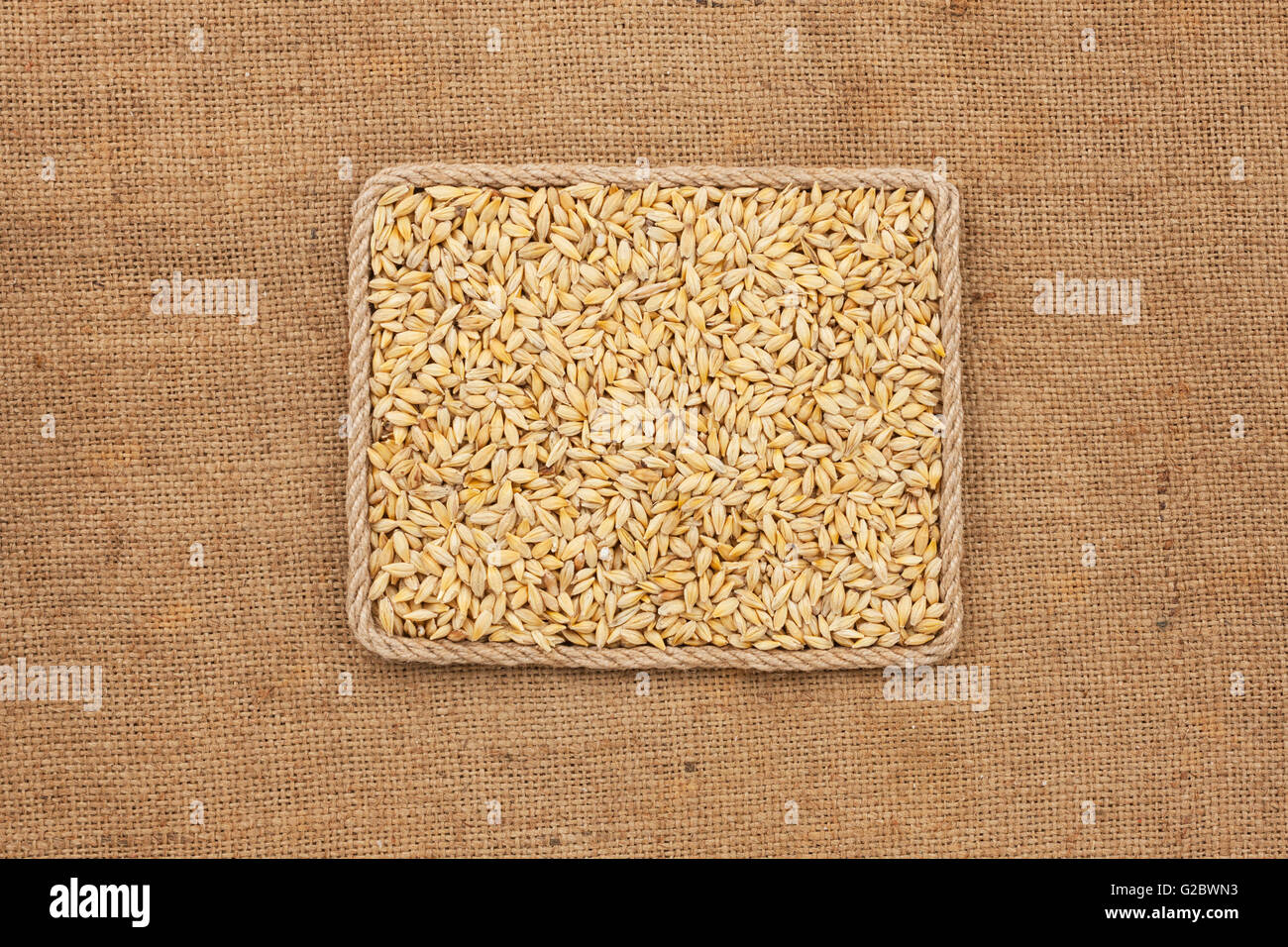 Frame made of rope with barley grains on sackcloth, view from above ...
