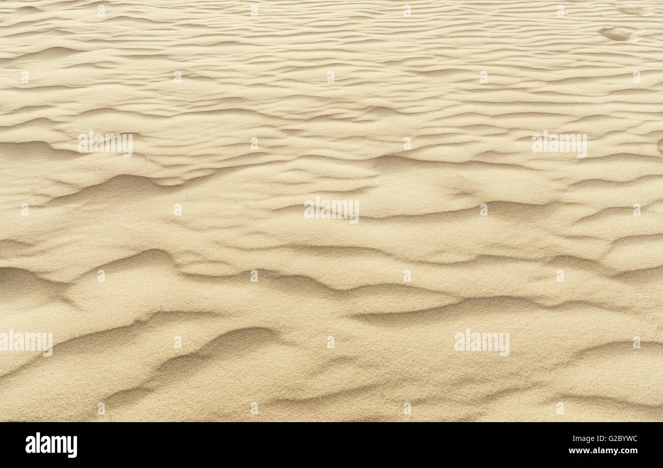 Texture of a desert sand dune closeup Stock Photo