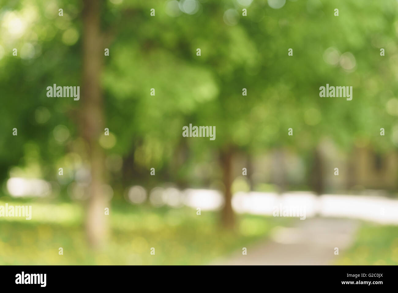 Blurred pathway in outdoor park hi-res stock photography and images - Alamy