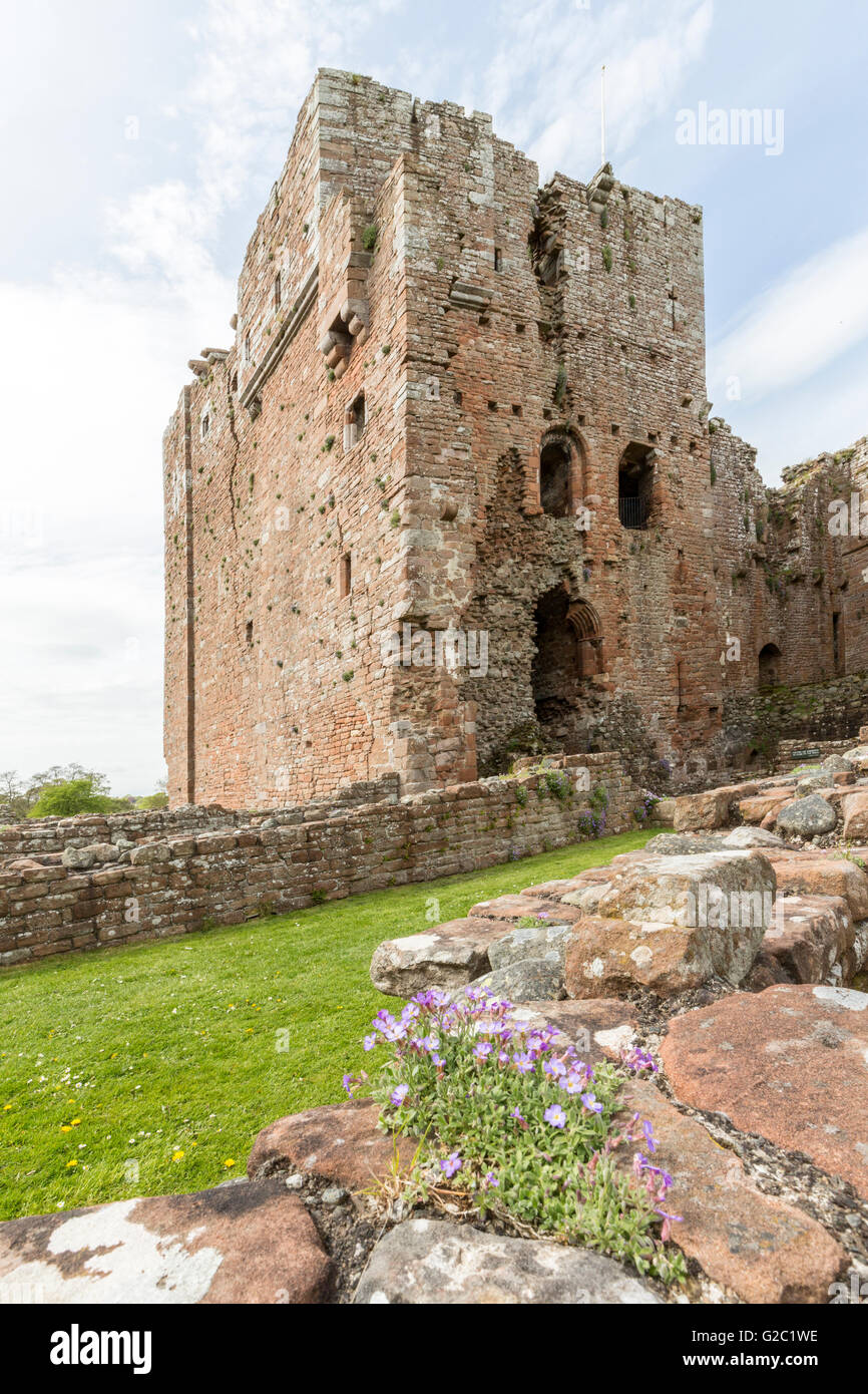 Brougham Castle ruin, Cumbria, England, UK Stock Photo