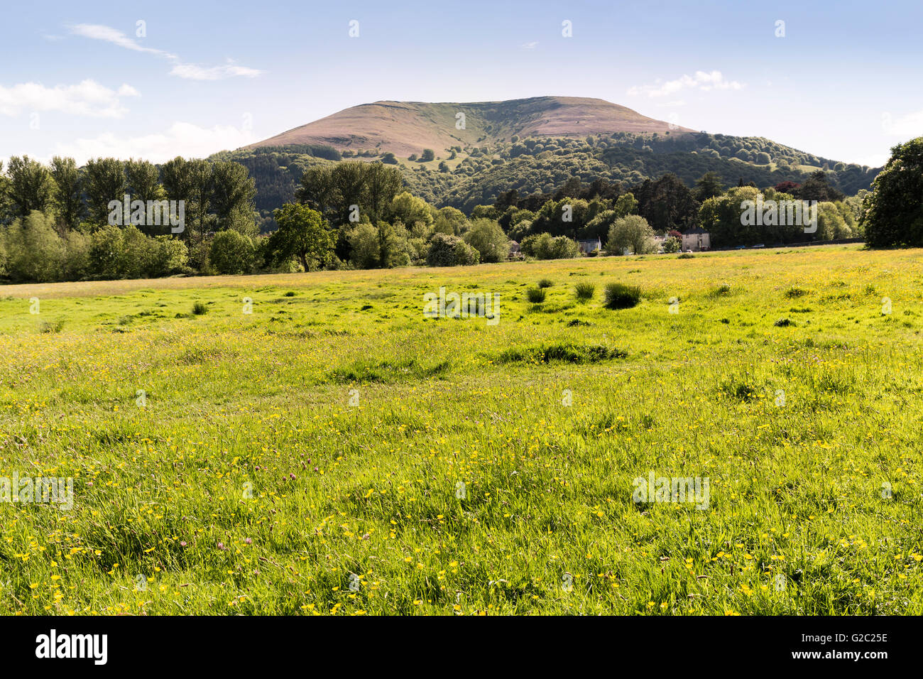 Blorenge mountain from Castle Meadows, Abergavenny, Wales, UK Stock