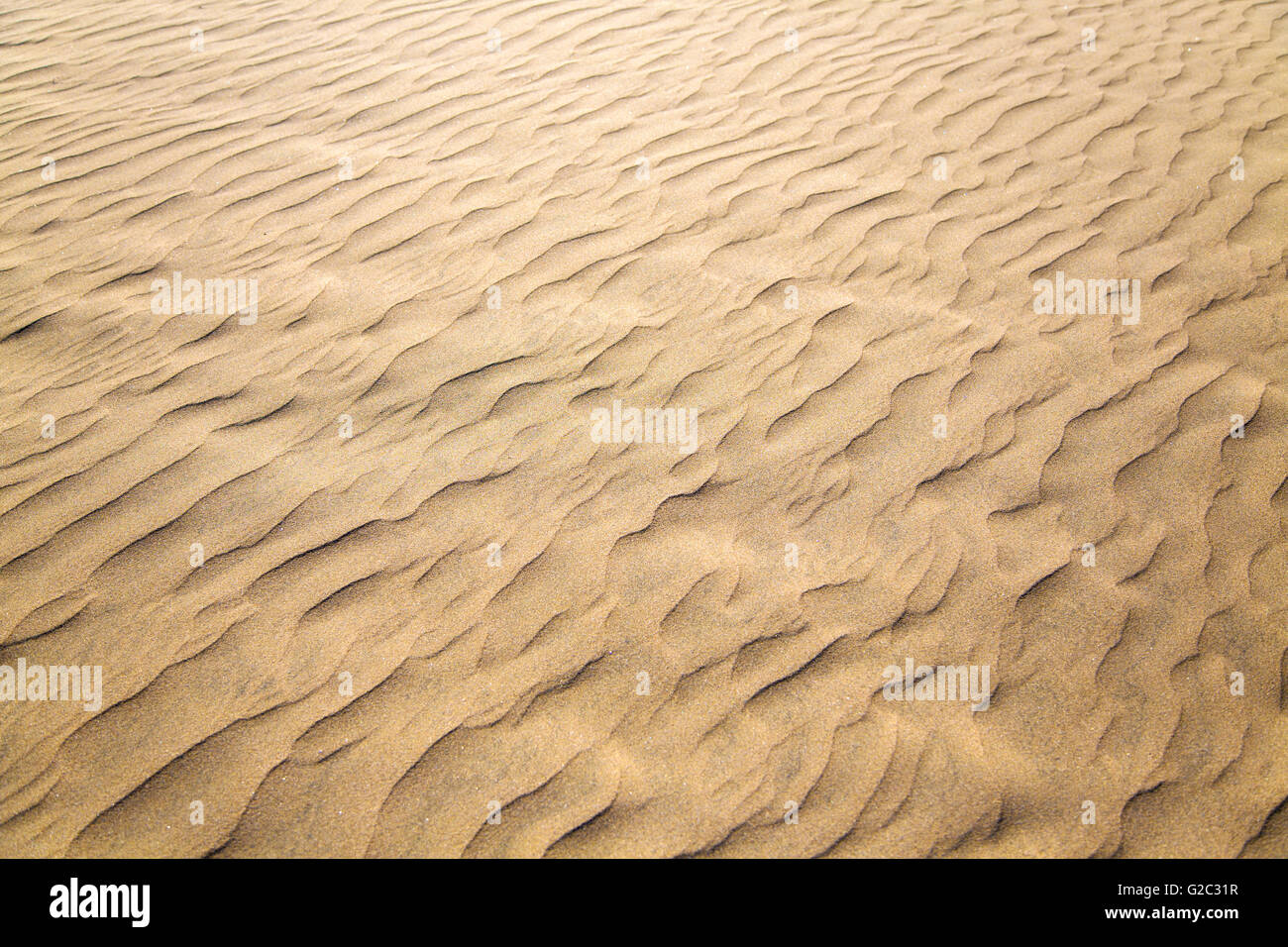 Close up view at sand texture Stock Photo - Alamy