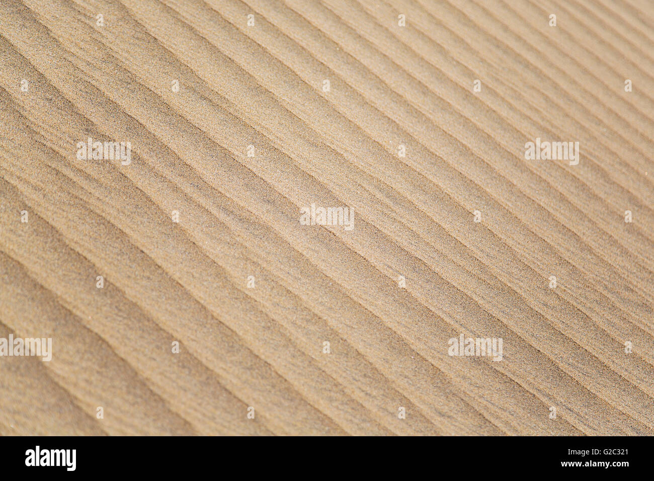Close up view at sand texture Stock Photo - Alamy