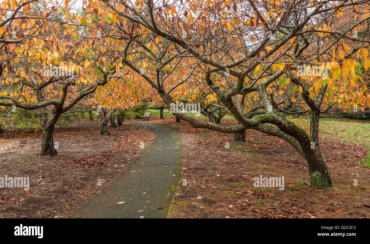 Empty footpath hi-res stock photography and images - Alamy