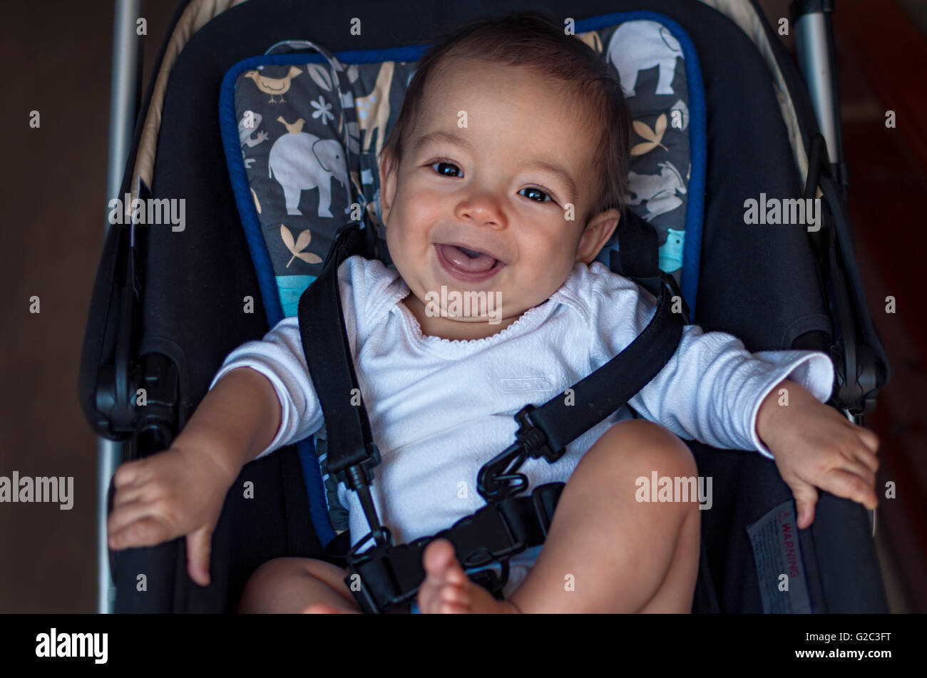 strollers for boy baby