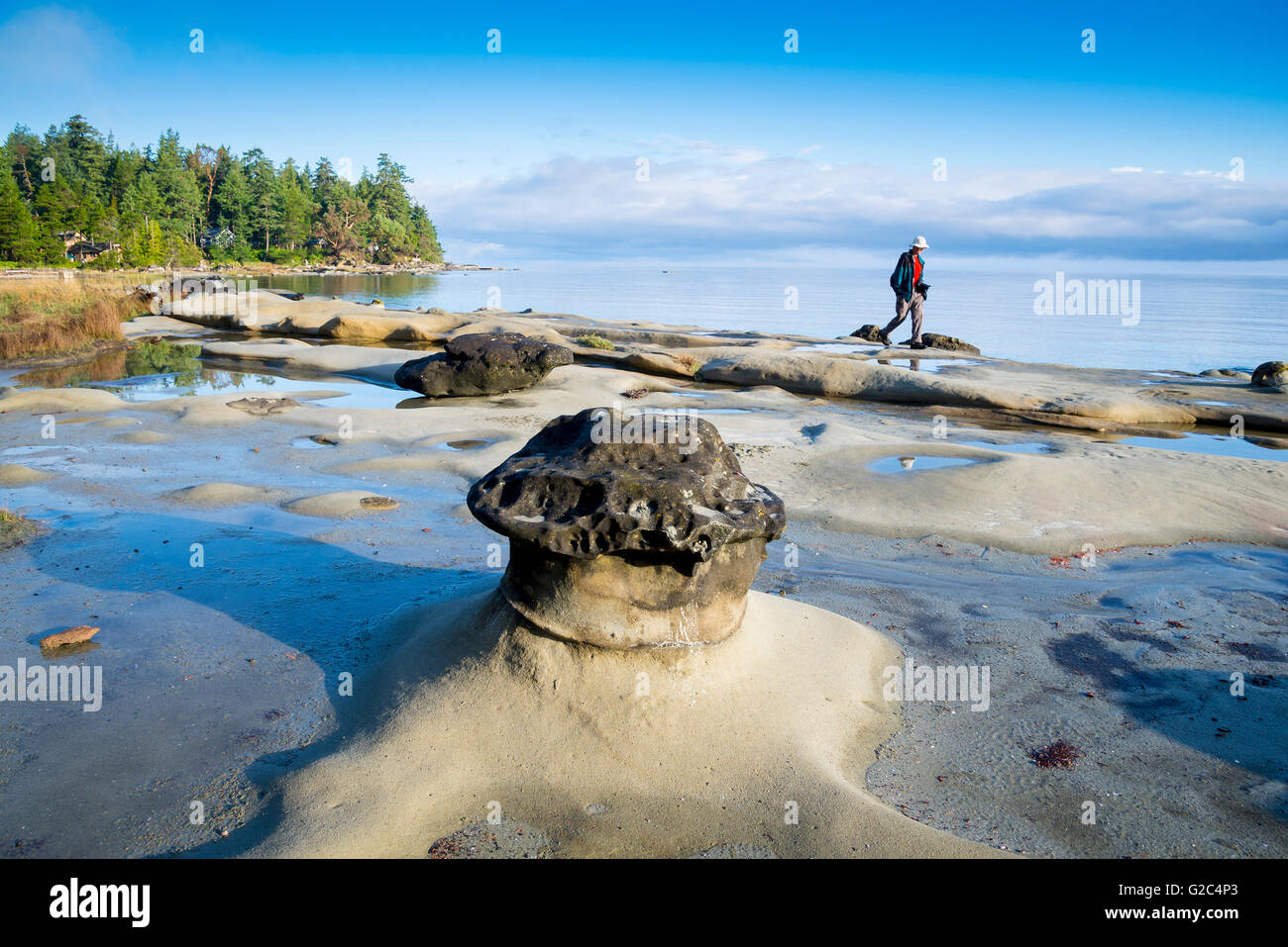 Whaling Station Bay, Hornby Island, British Columbia, Canada Stock