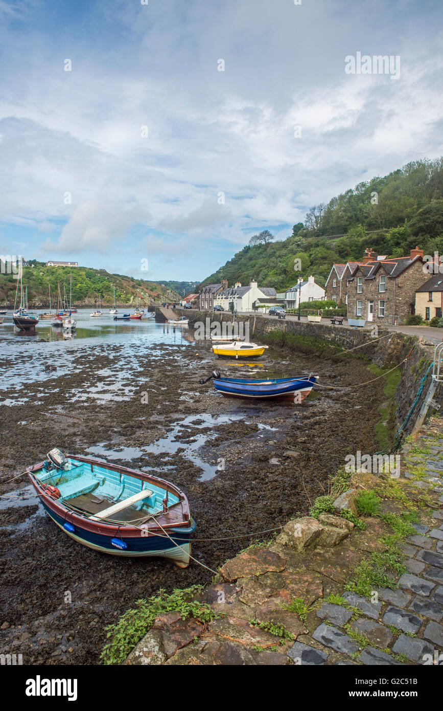 The little fishing harbour village of Lower Fishguard, or Abergwaun, on ...