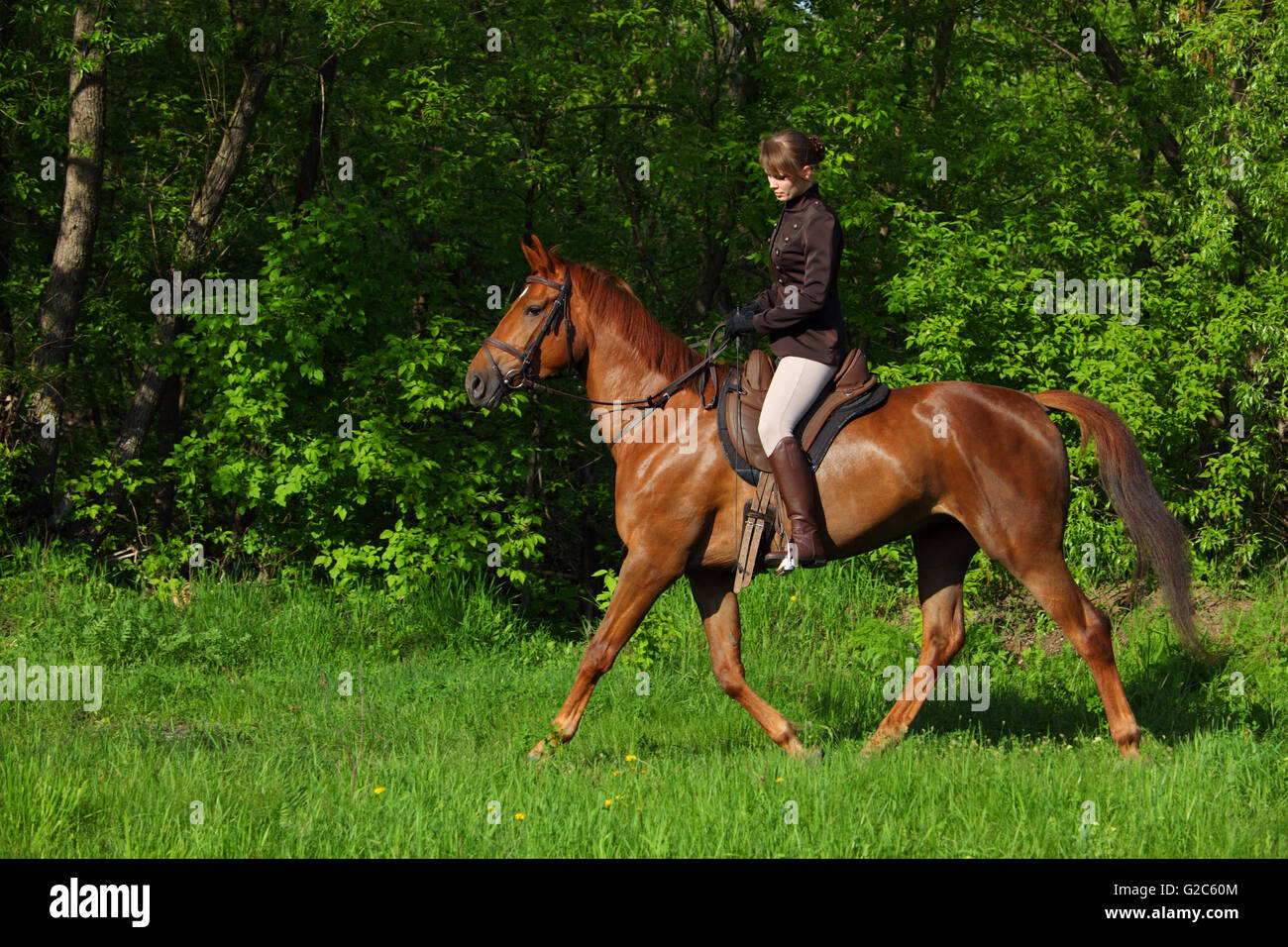 Girl in equestrian hunt uniform on horseback Stock Photo Alamy