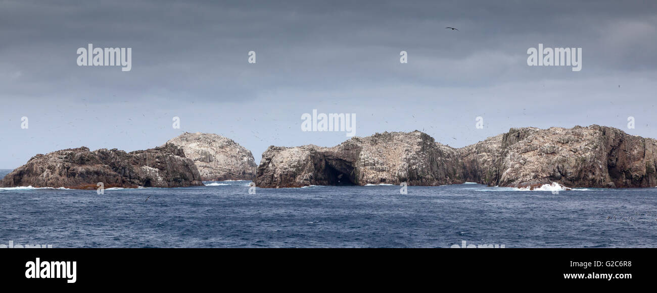 Bounty islands new zealand hi res stock photography and images alamy
