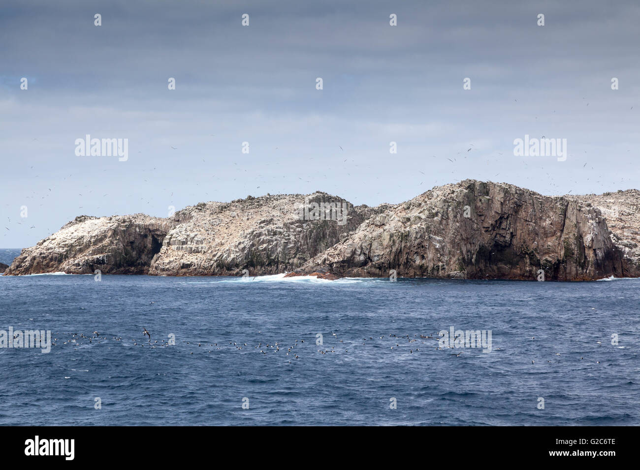 Main group of the bounty islands new zealand stock photo alamy