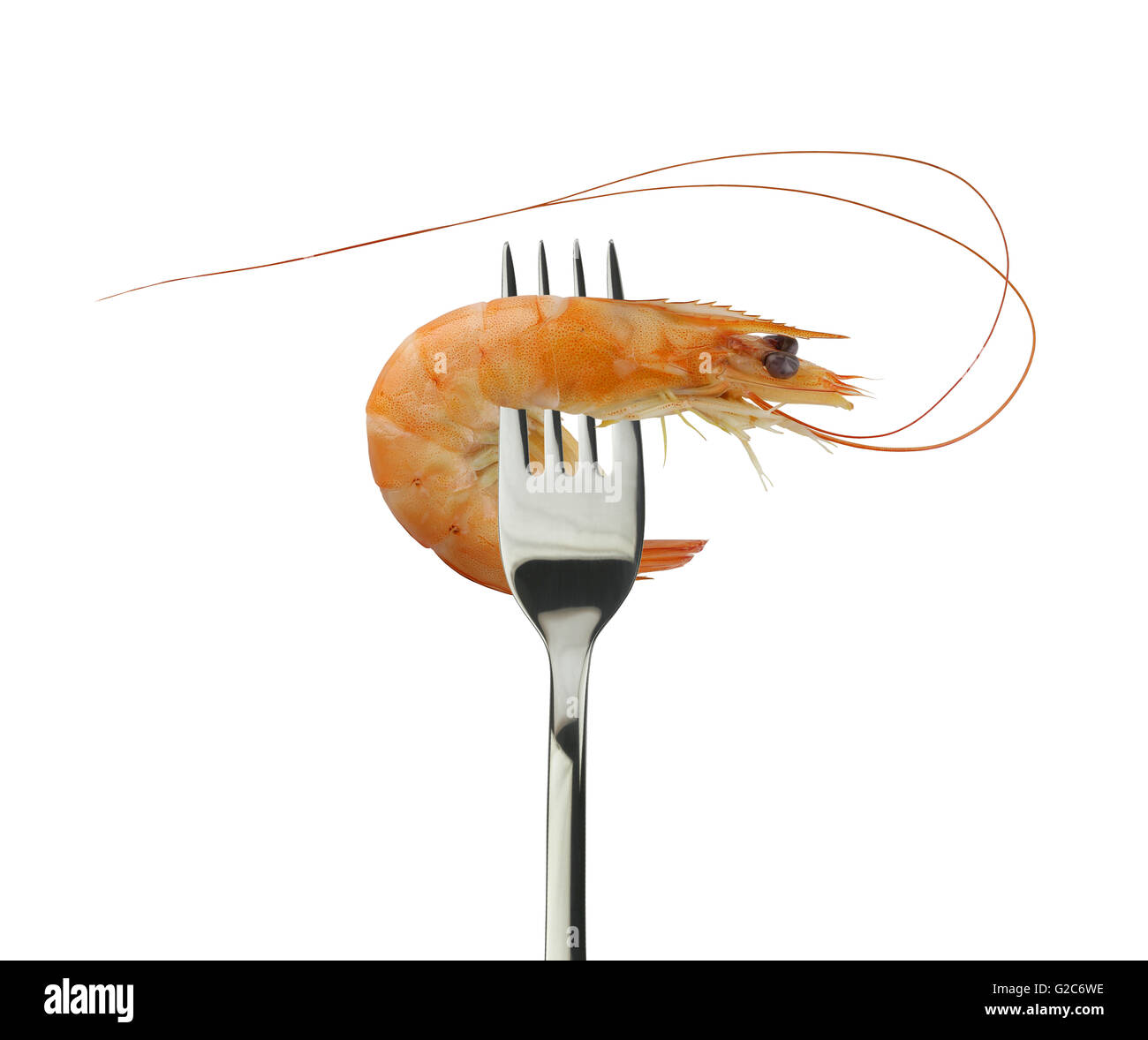 cooked shrimp and Silver Fork on a white background and have clipping paths for design. Stock Photo