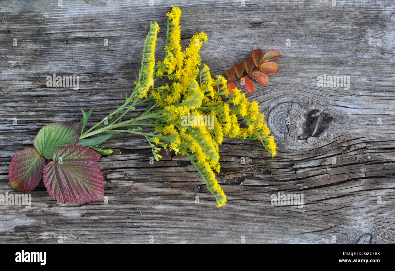 Leaves and Flowers on Old Board Stock Photo