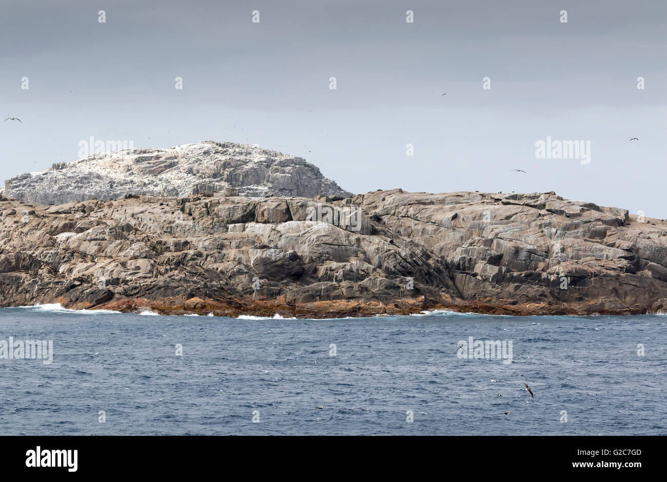 Bounty islands new zealand hi res stock photography and images alamy
