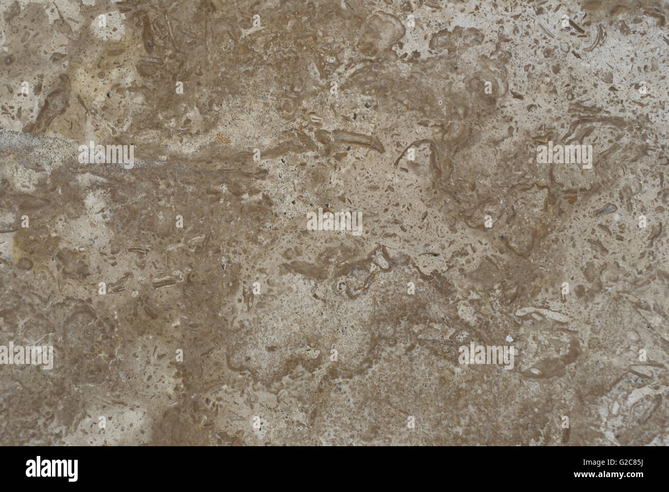 Texture dirty of marble floor and have naturally pattern for the design background. Stock Photo