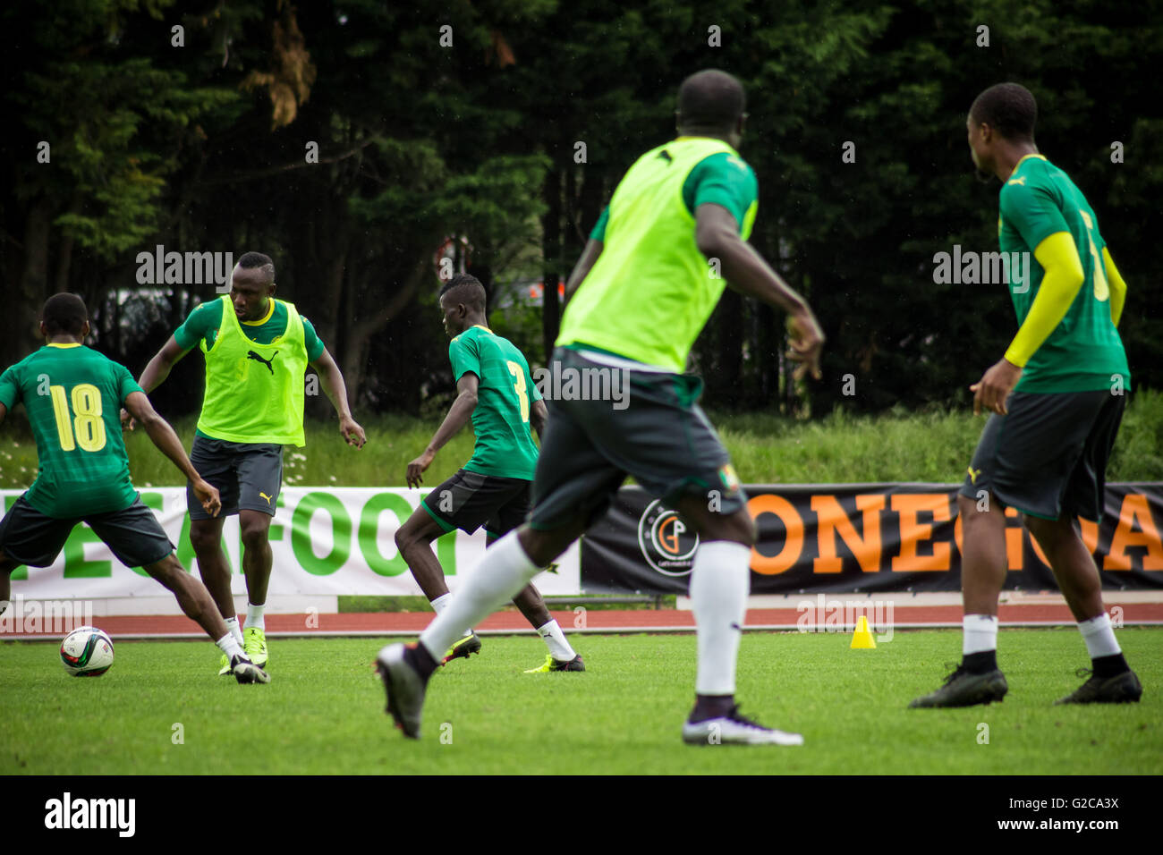 Cameroon national football team training session in Nantes, France. Stock Photo