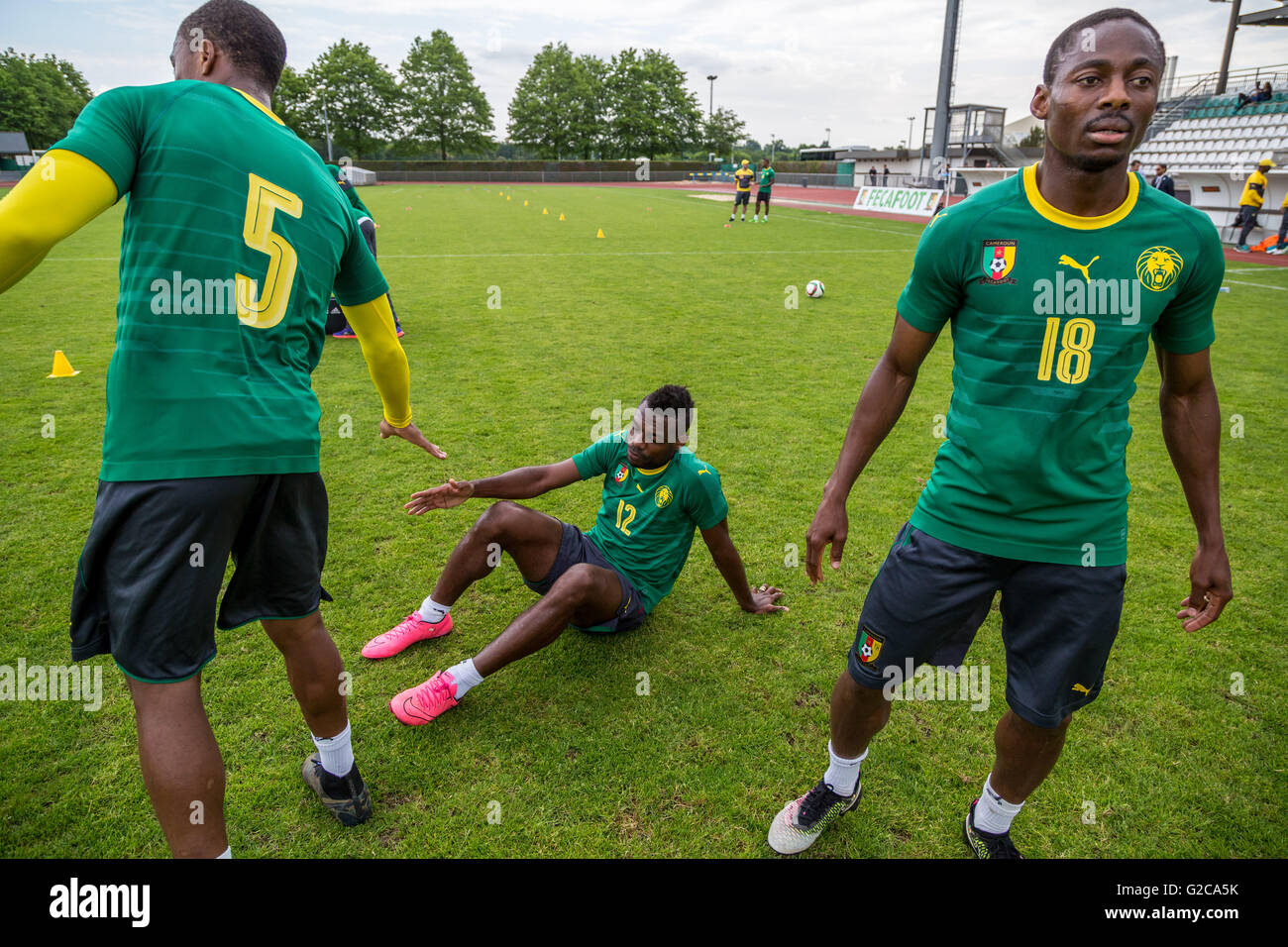 Adolphe Teikeu (5) Henri Bedimo (12) Eyong Enoh(18). Cameroon national football team training session in Nantes, France. Stock Photo