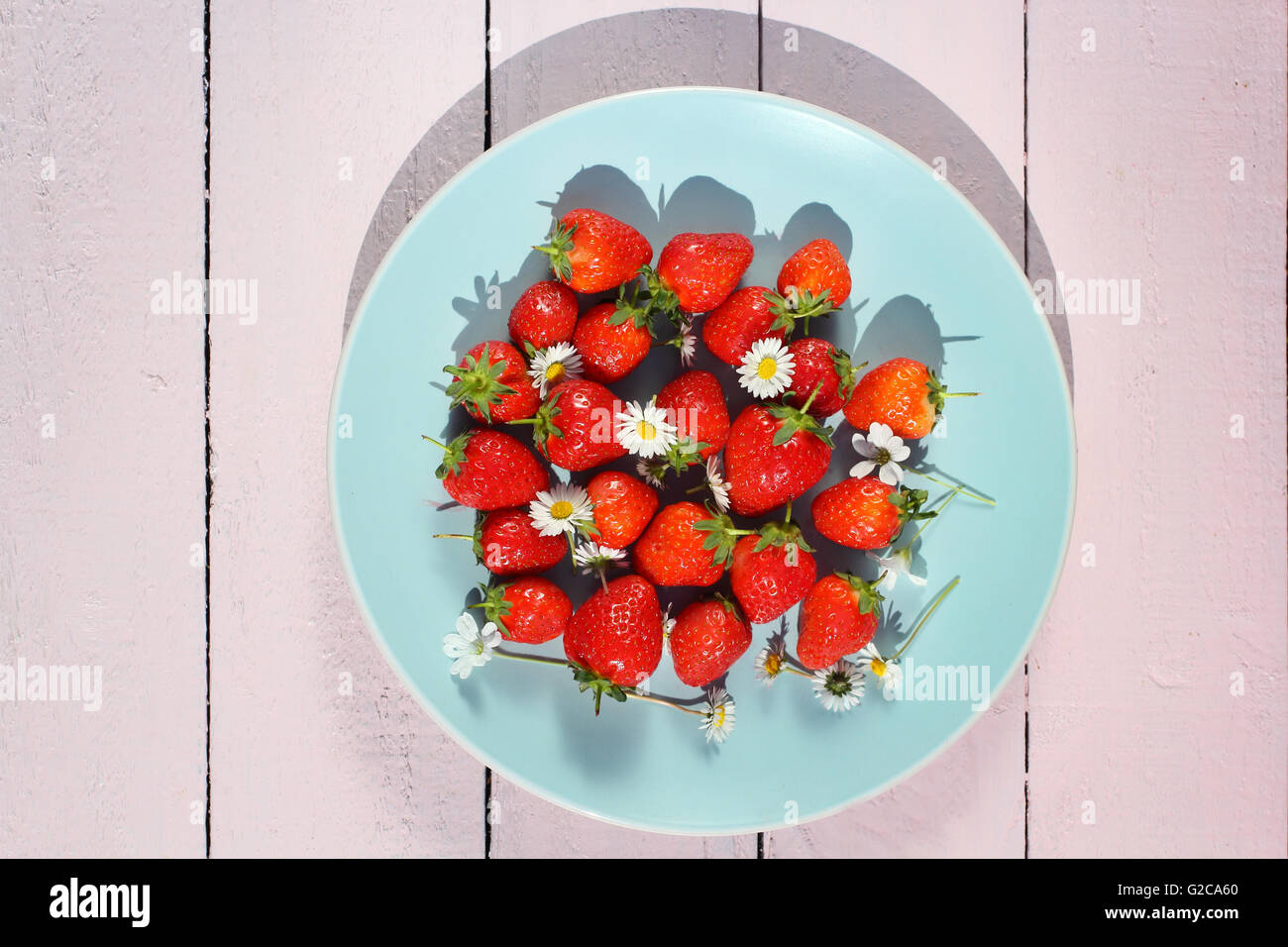 Ripe red strawberries on a blue ceramic plate and pink wooden background Stock Photo