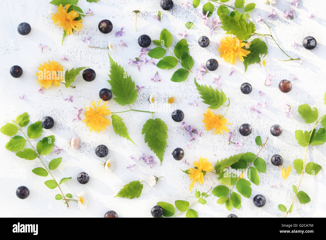 Beautiful summer/ spring background with fresh flowers and leaves on ...