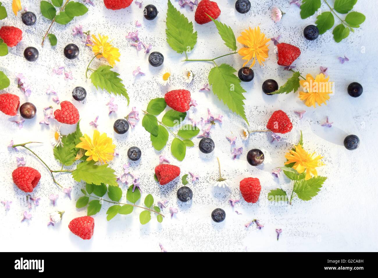 Beautiful summer/ spring background with fresh flowers and leaves on ...