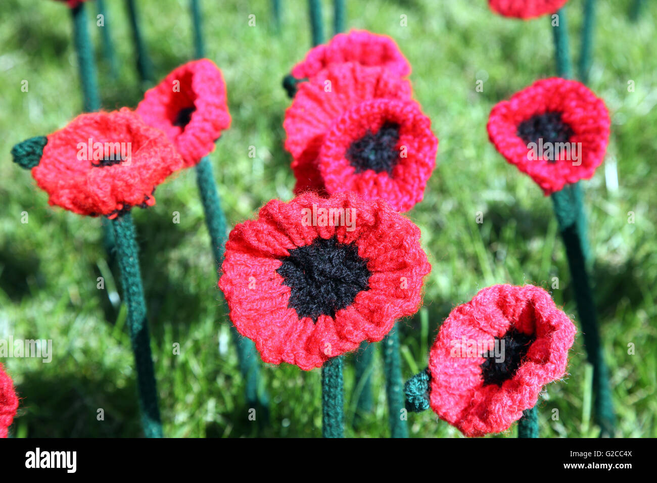 Crocheted poppies at the RHS Chelsea Flower Show 2016 Stock Photo