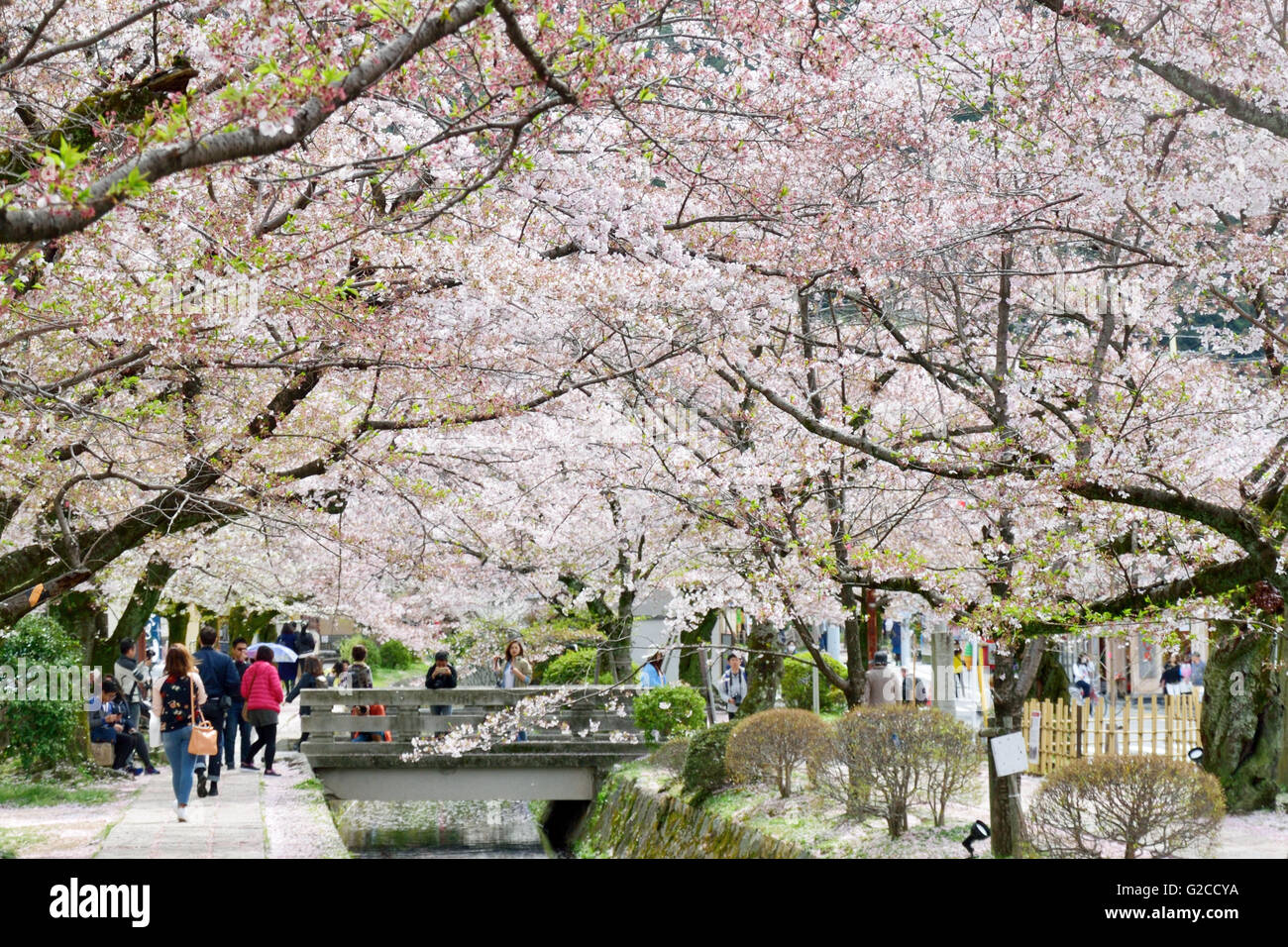 Philosopher’s path hi-res stock photography and images - Alamy