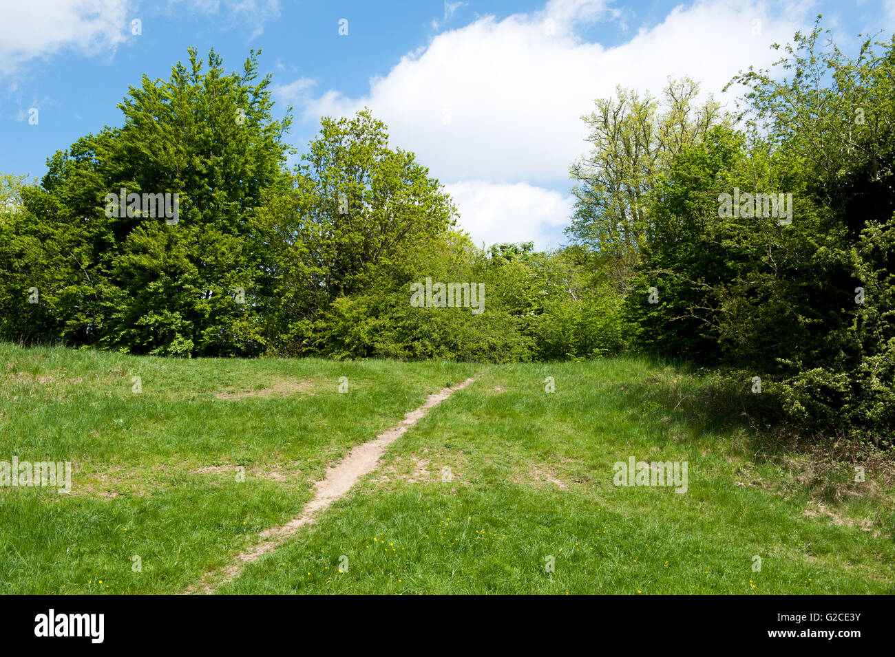 Path leading through spring park on a sunny day. Stock Photo